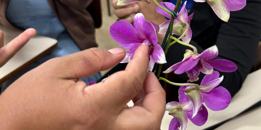 Aula prática de reprodução em plantas.